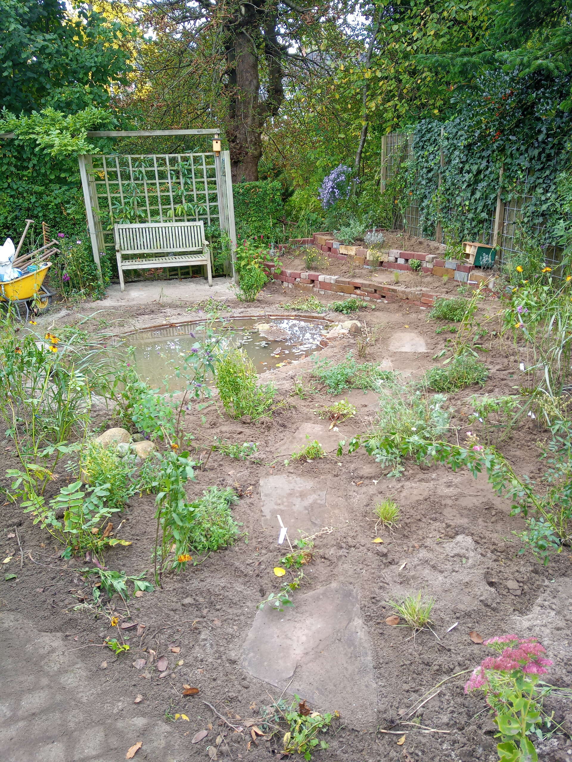 Nieuwe beplanting in een net aangelegde tuin Nieuwe beplanting in een net aangelegde tuin