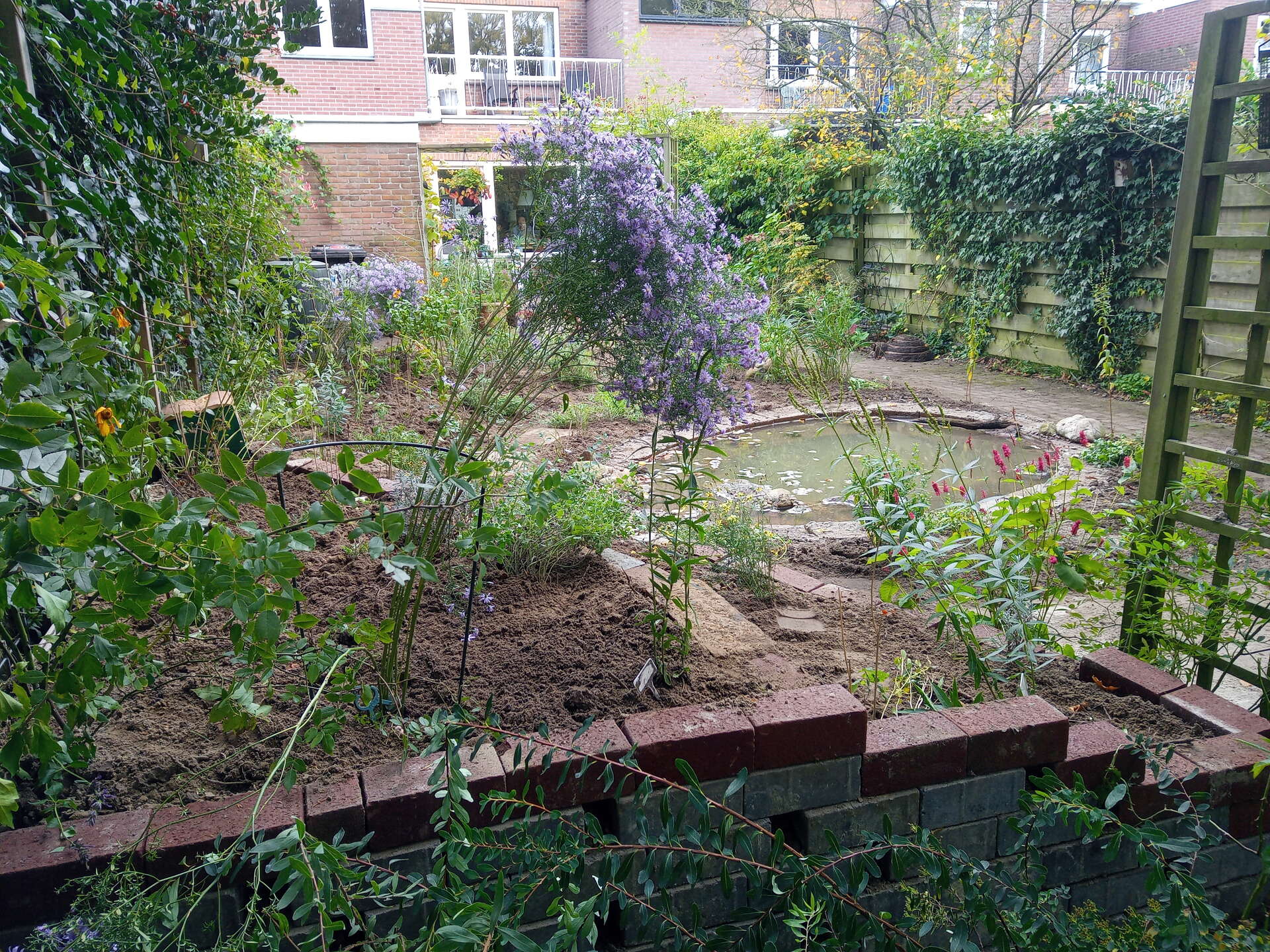 IMG_20201014_141701_8_1920 Nieuwe beplanting in een net aangelegde tuin