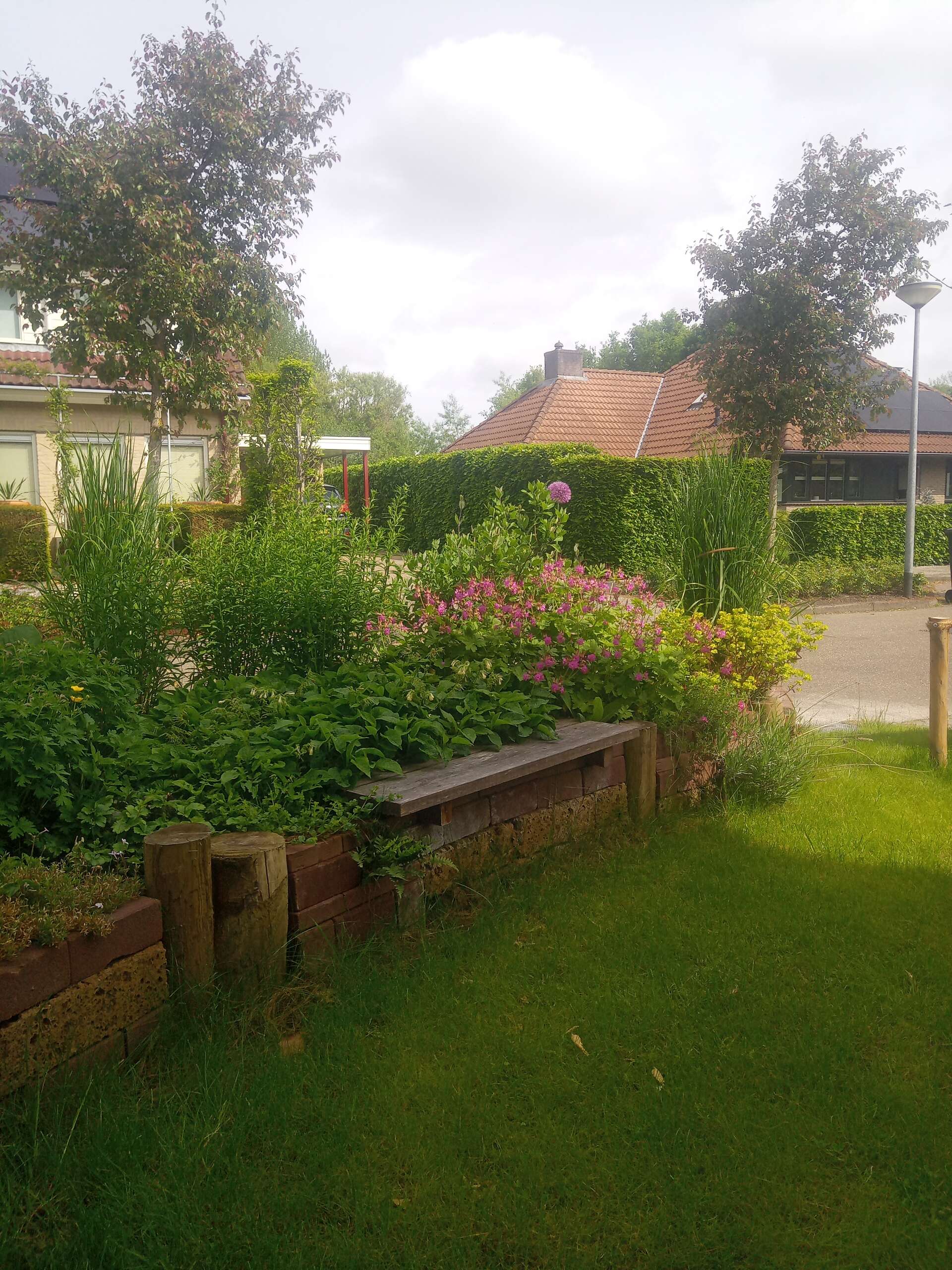IMG_20220520_105928_2_1920 Voorbeeld strakke tuin duurzaam tuinfluiter