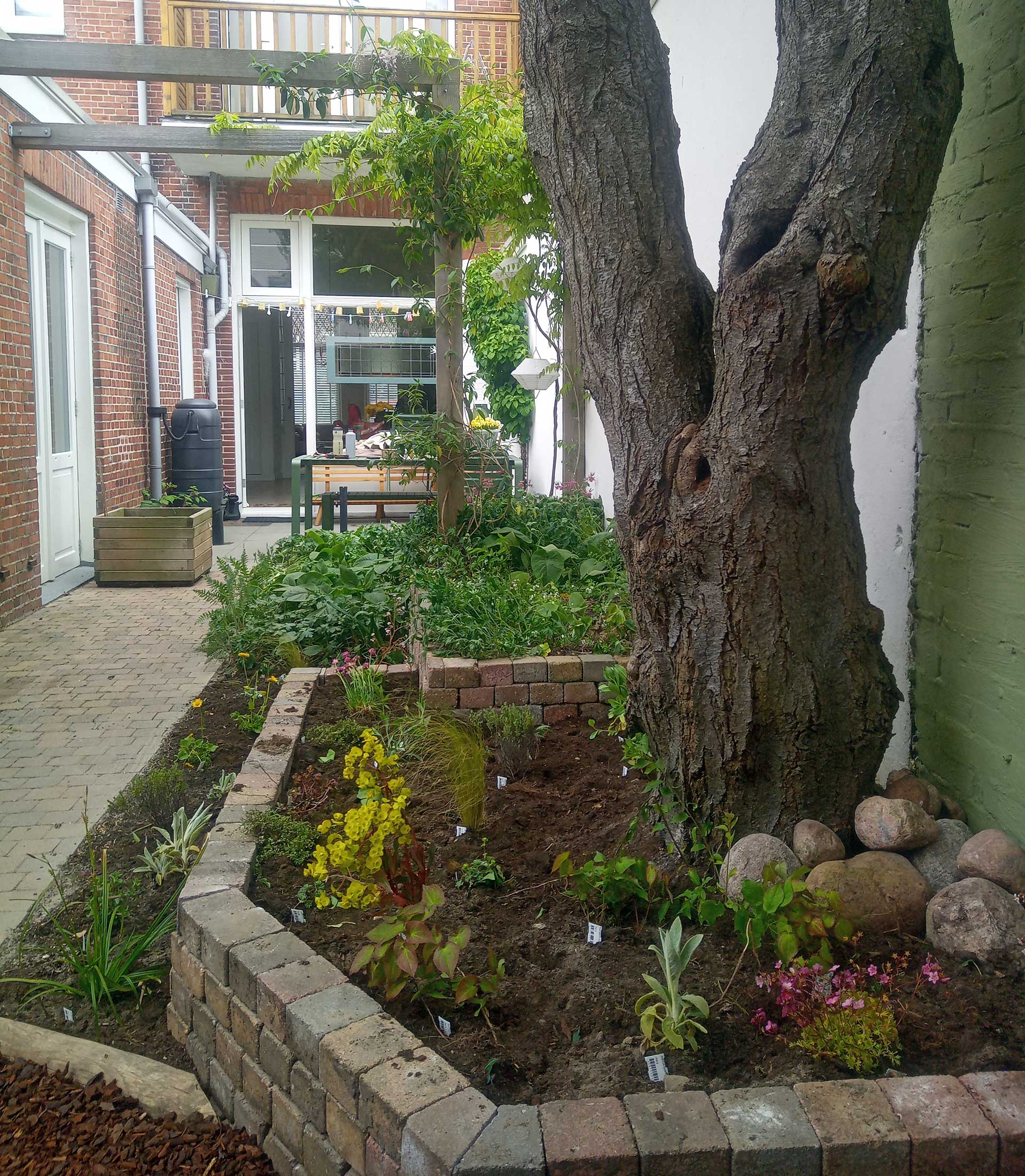 voorbeeld-tuin-strakker-ontwerp-tuinfluiter Voorbeeld strakke tuin duurzaam tuinfluiter