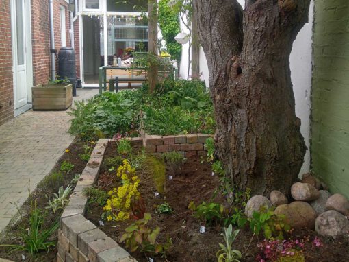De kleinste natuurlijke tuin van Groningen