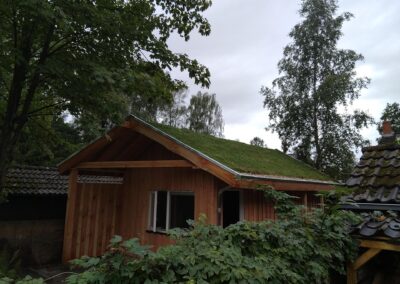 Sedumdak resultaat overzichtsfoto houten schuur of tuinhuis met schuin groen dak - tuinfluiter hovenier groningen