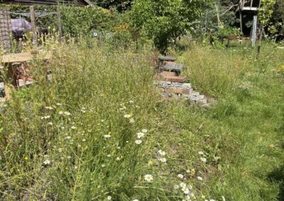 Bloemenweide met margrieten en een trapje van hergebruikte bakstenen