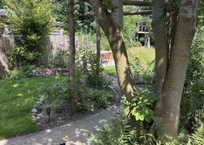 Houten pergola rond een meerstammige boom met varens en klinkerpad